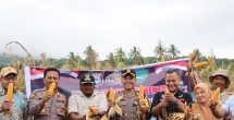Dukung Program Ketahanan Pangan, Polres Maros Panen Jagung di Desa Pucak