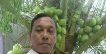 Ekoteologi sebagai Implementasi Wahdatul Wujud: Menyemai Spiritualitas dan Kepedulian Alam