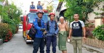 Setelah Masuk ke Kantor Bupati, Kini Biawak Masuk ke Rumah Warga, Damkar Sigap Bertindak.