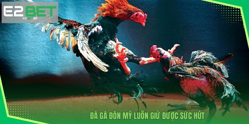 Đá Gà Đòn Mỹ - Cuộc Đối Đầu Nảy Lửa Tại Sân Thi Quốc Tế Tại E2BET 2 Đá gà đòn Mỹ luôn giữ được sức hút