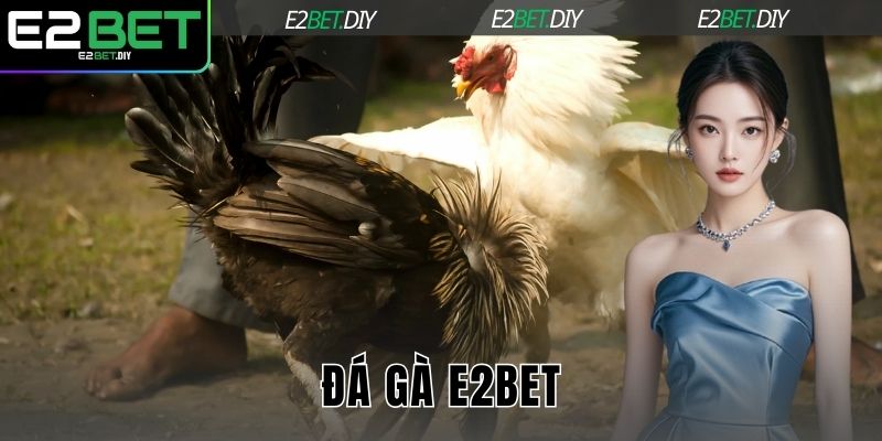 Đá Gà E2BET – Đấu Trường Những Chiến Kê Dũng Mãnh 1 Đá gà E2BET