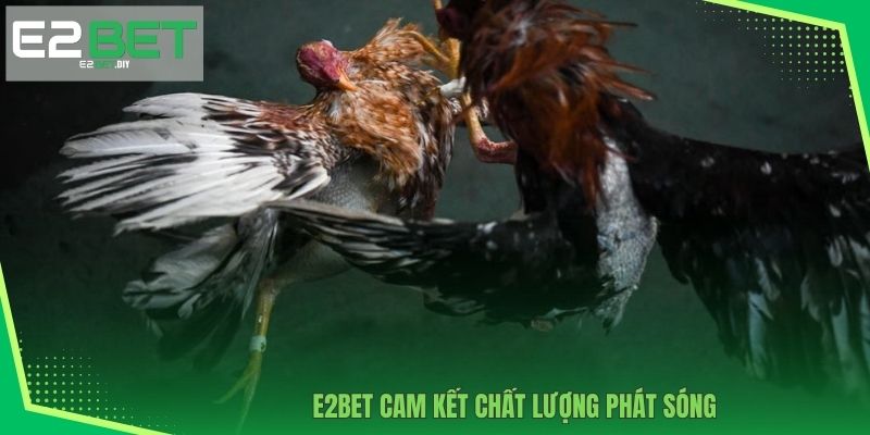 Đá gà CUP C1 Campuchia | Đấu Trường Của Chiến Kê Xuất Sắc 3 E2BET cam kết chất lượng phát sóng