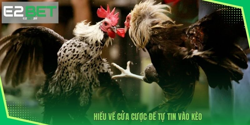 Trường Gà Sabong | Điểm Đến Giải Trí Đẳng Cấp Và Uy Tín Tại E2BET 4 Hiểu về cửa cược để tự tin vào kèo