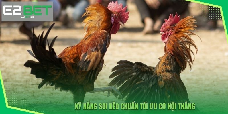 Đá Gà Đòn Mỹ - Cuộc Đối Đầu Nảy Lửa Tại Sân Thi Quốc Tế Tại E2BET 4 Kỹ năng soi kèo chuẩn tối ưu cơ hội thắng
