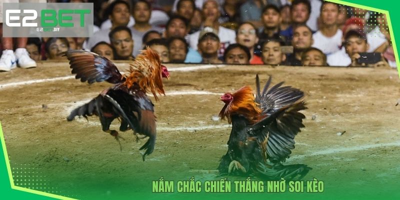 Đá gà CUP C1 Campuchia | Đấu Trường Của Chiến Kê Xuất Sắc 4 Nắm chắc chiến thắng nhờ soi kèo
