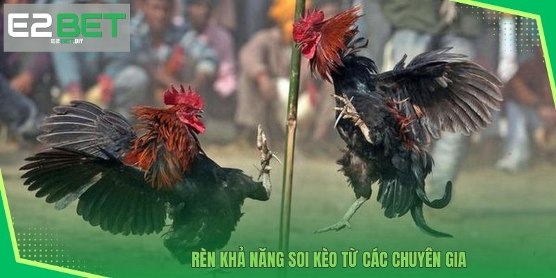 Rèn khả năng soi kèo từ các chuyên gia 