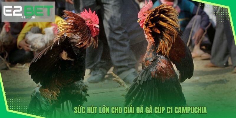 Đá gà CUP C1 Campuchia | Đấu Trường Của Chiến Kê Xuất Sắc 2 Sức hút lớn cho giải Đá gà CUP C1 Campuchia