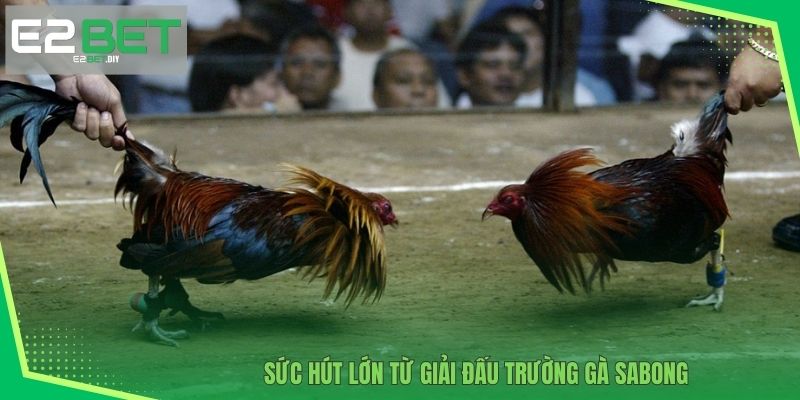Trường Gà Sabong | Điểm Đến Giải Trí Đẳng Cấp Và Uy Tín Tại E2BET 2 Sức hút lớn từ giải đấu Trường gà Sabong