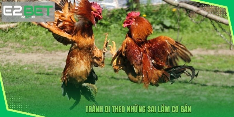 Tránh đi theo những sai lầm cơ bản 