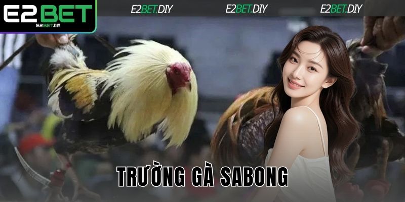 Trường gà Sabong
