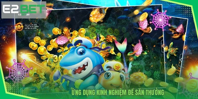 Ứng dụng kinh nghiệm để săn thưởng